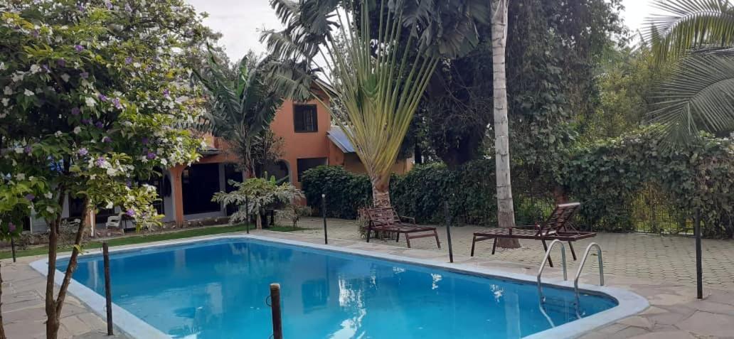 Runako Lodge Arusha Buitenkant foto